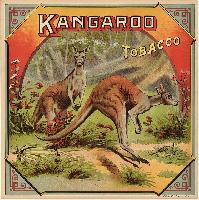 Kangaroo Tobacco
